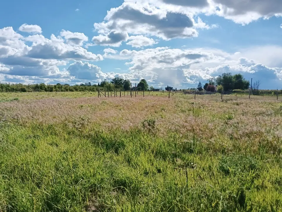 Działka budowlana 1 514 m², Ostrołęka