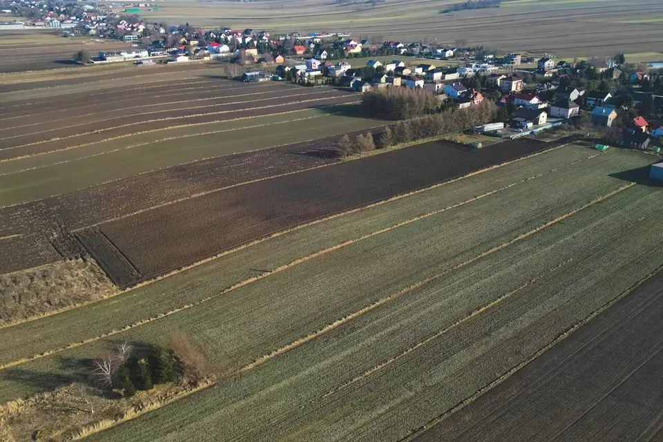 Zdjęcie 5