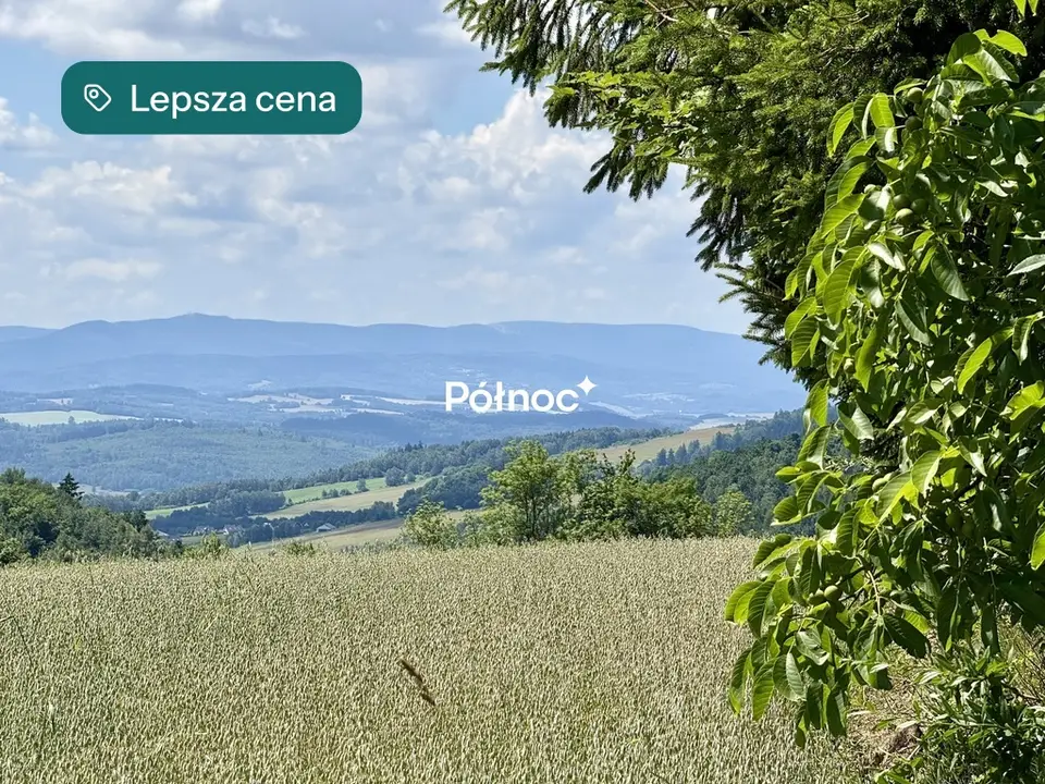Działka budowlana 3 700 m², Dziwiszów