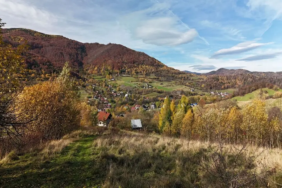 Zdjęcie 8