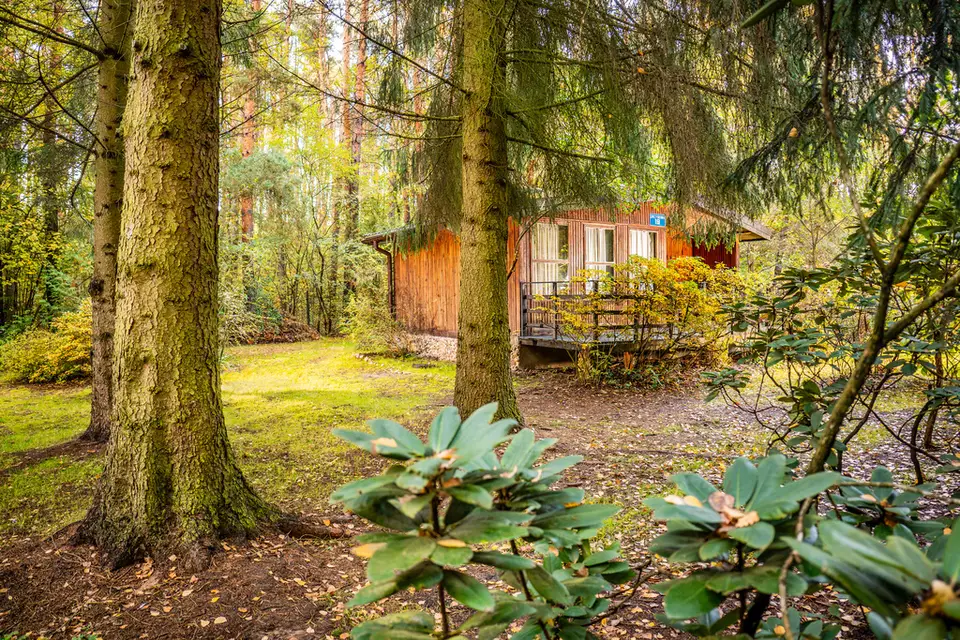 Działka budowlana 745 m², Prace Duże