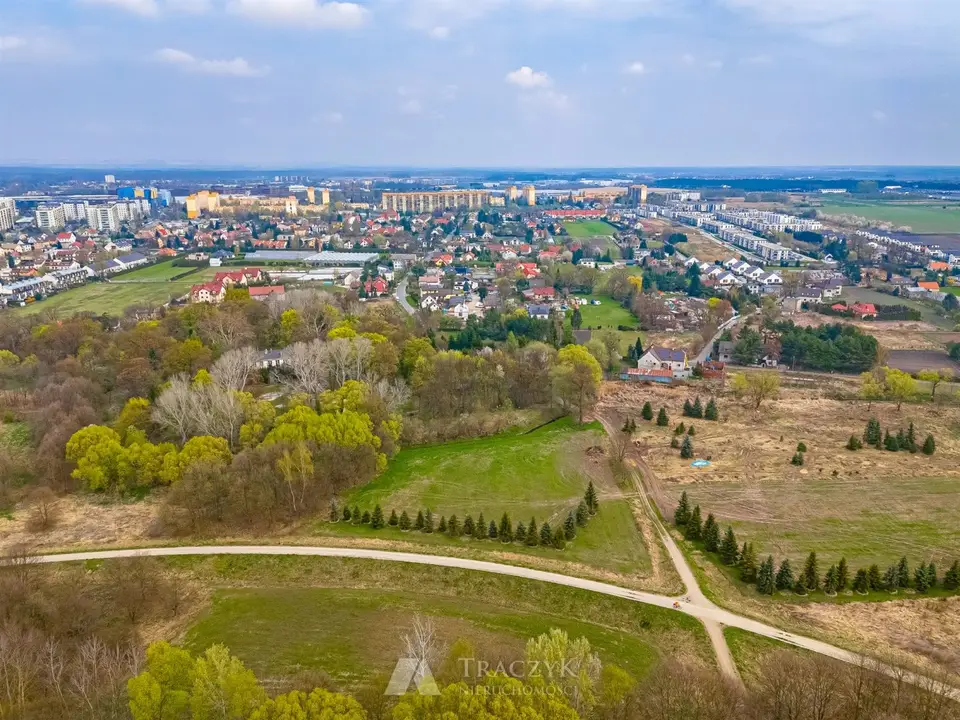Zdjęcie 6