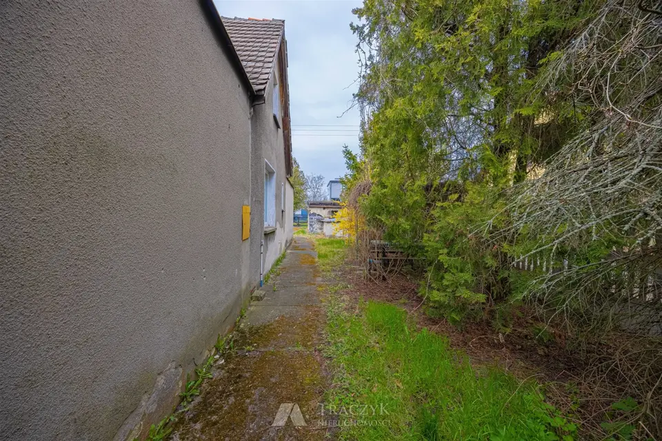 Zdjęcie 9