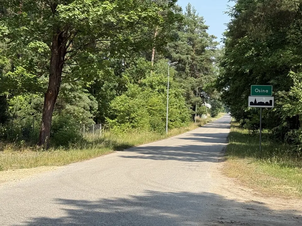 Zdjęcie 12