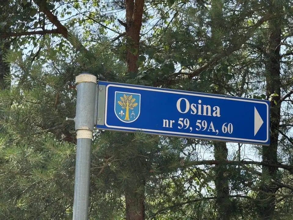 Zdjęcie 13
