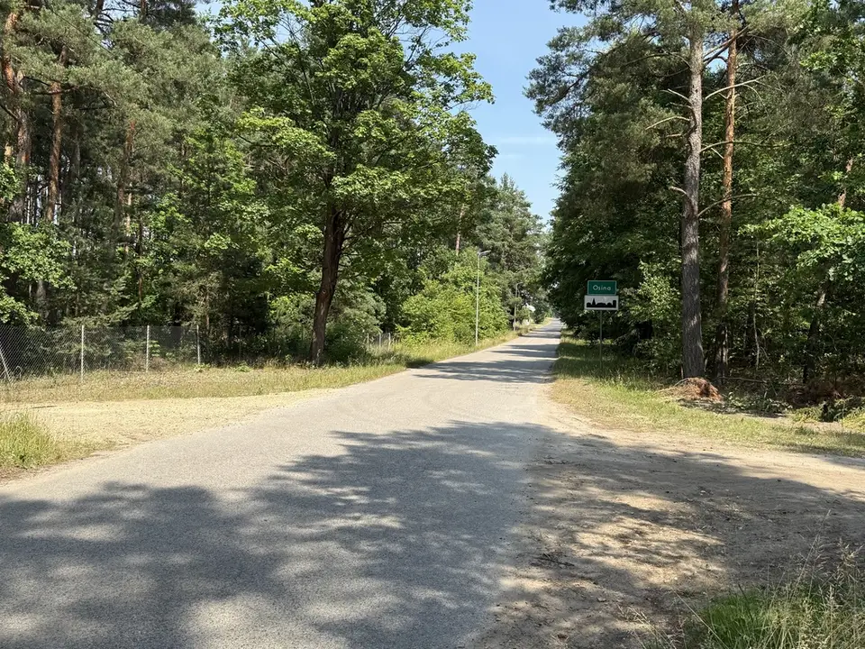 Zdjęcie 16