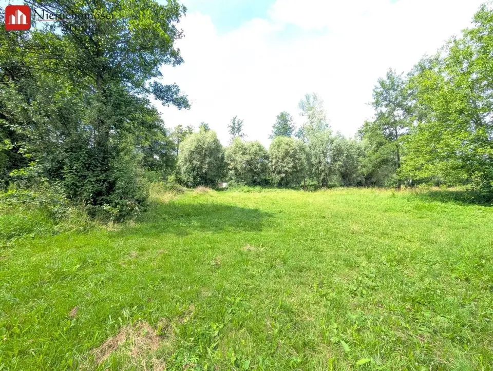 Zdjęcie 12