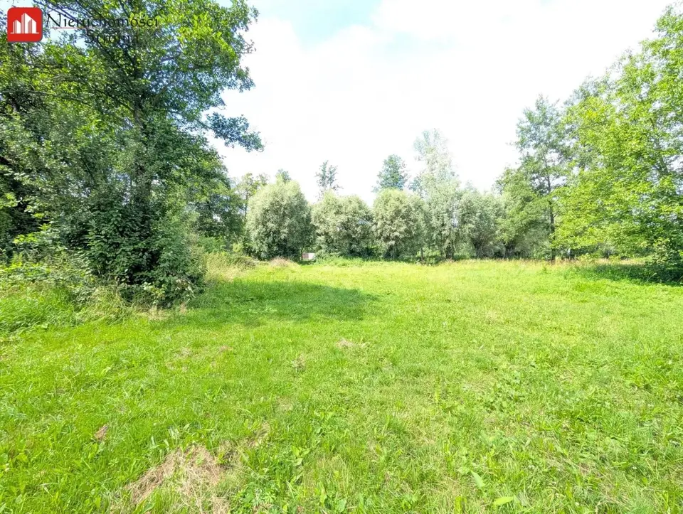 Zdjęcie 14