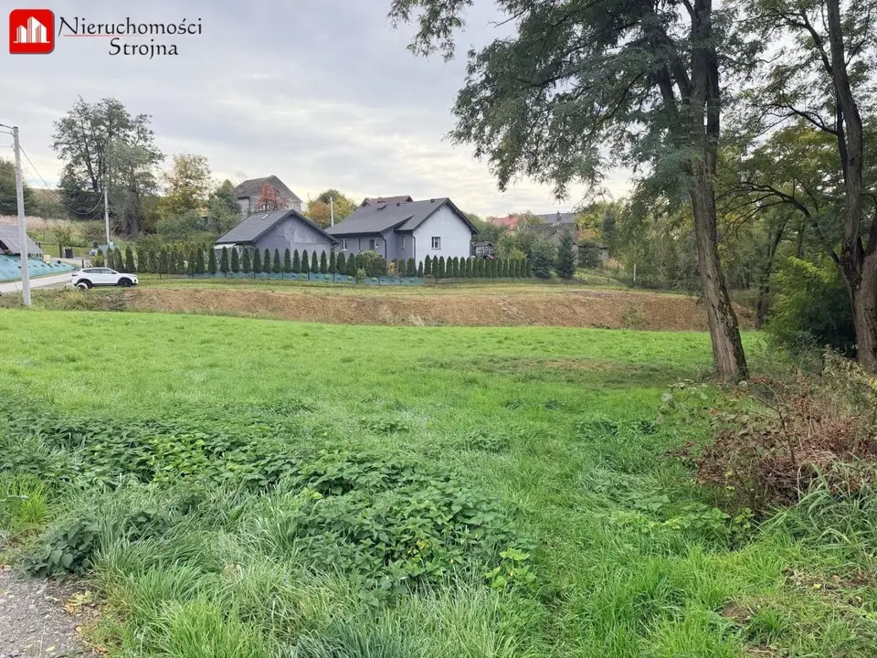 Zdjęcie 18