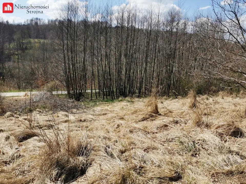 Zdjęcie 5