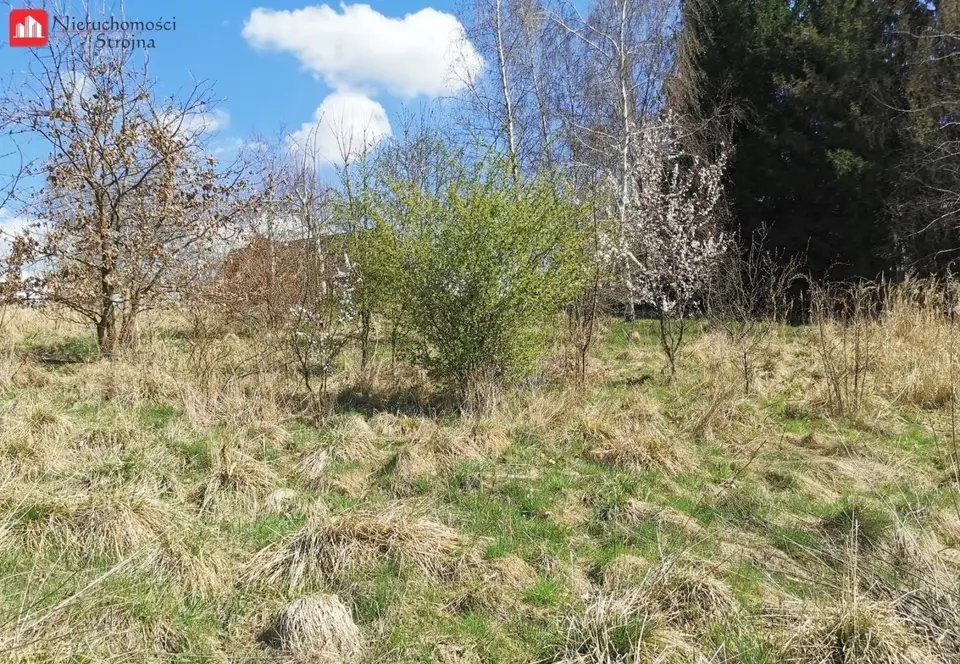Zdjęcie 5
