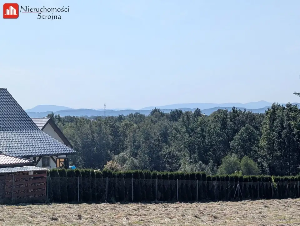 Zdjęcie 12