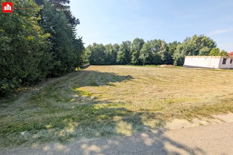Zdjęcie 15