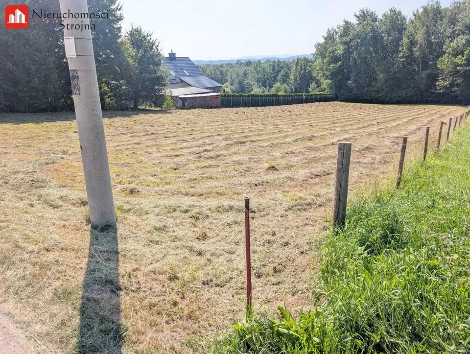 Zdjęcie 16