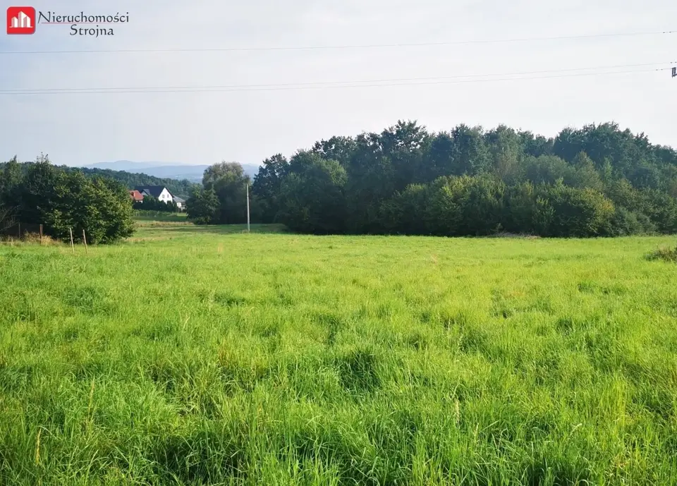 Zdjęcie 3