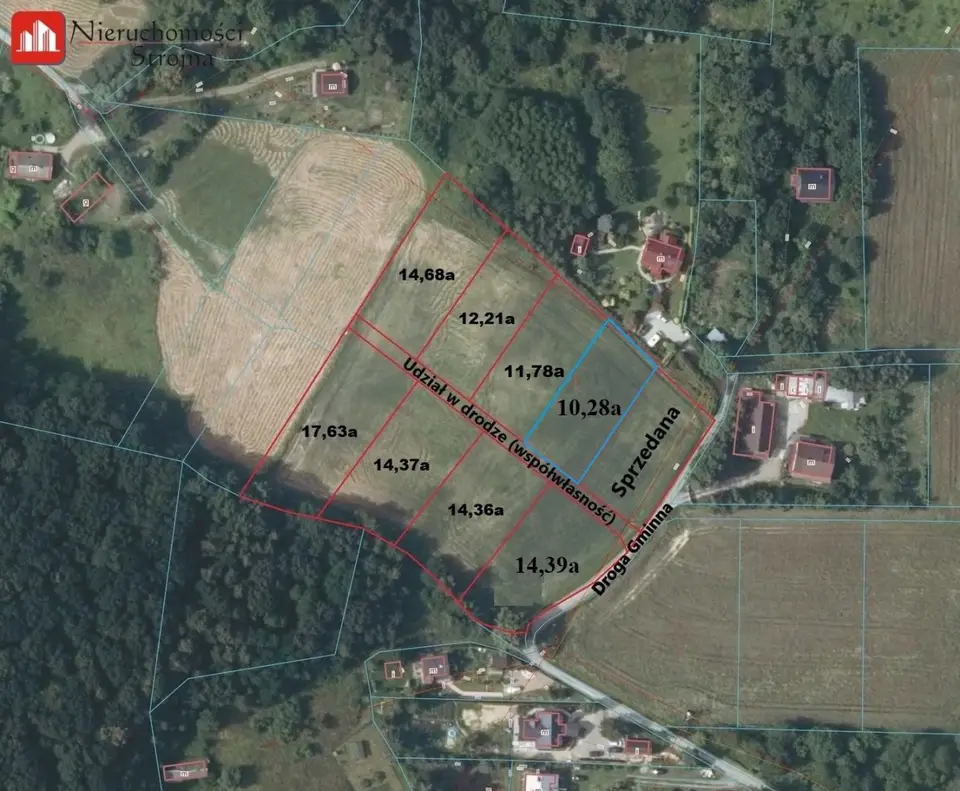 Zdjęcie 13