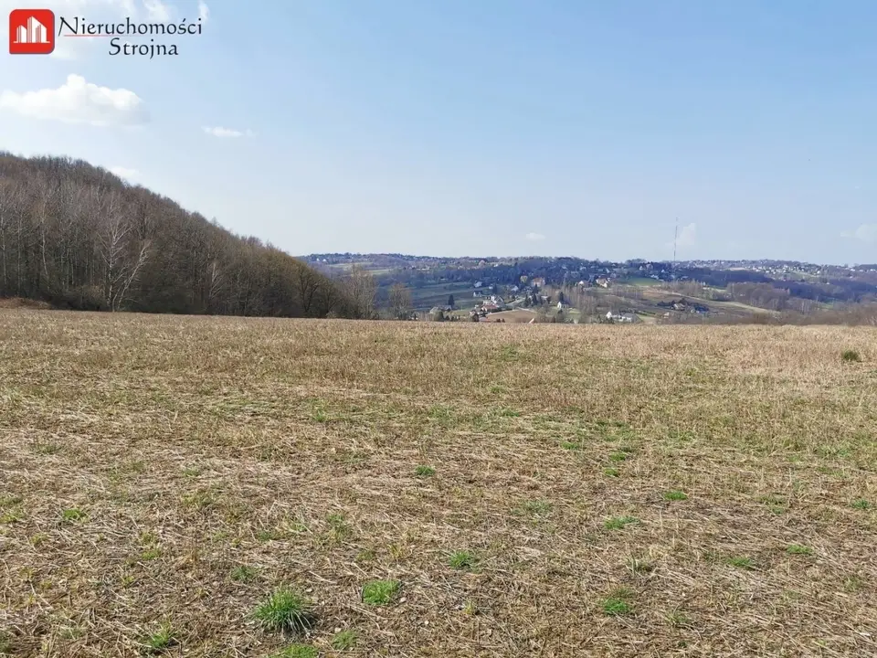 Zdjęcie 10