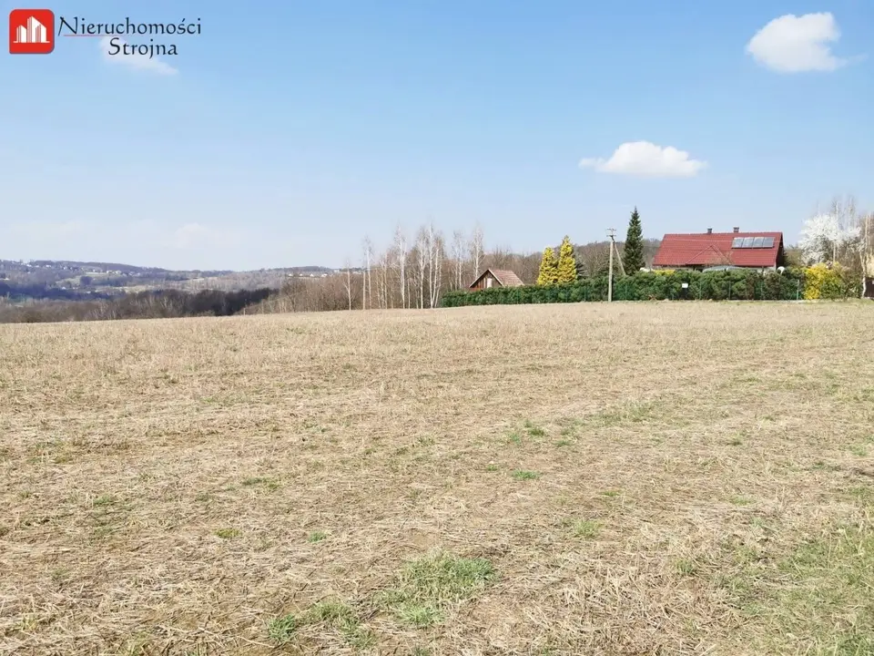 Zdjęcie 11