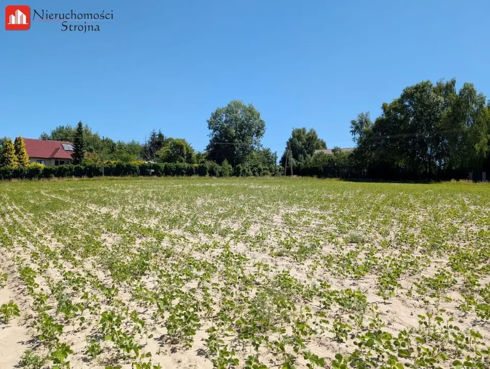Zdjęcie 14