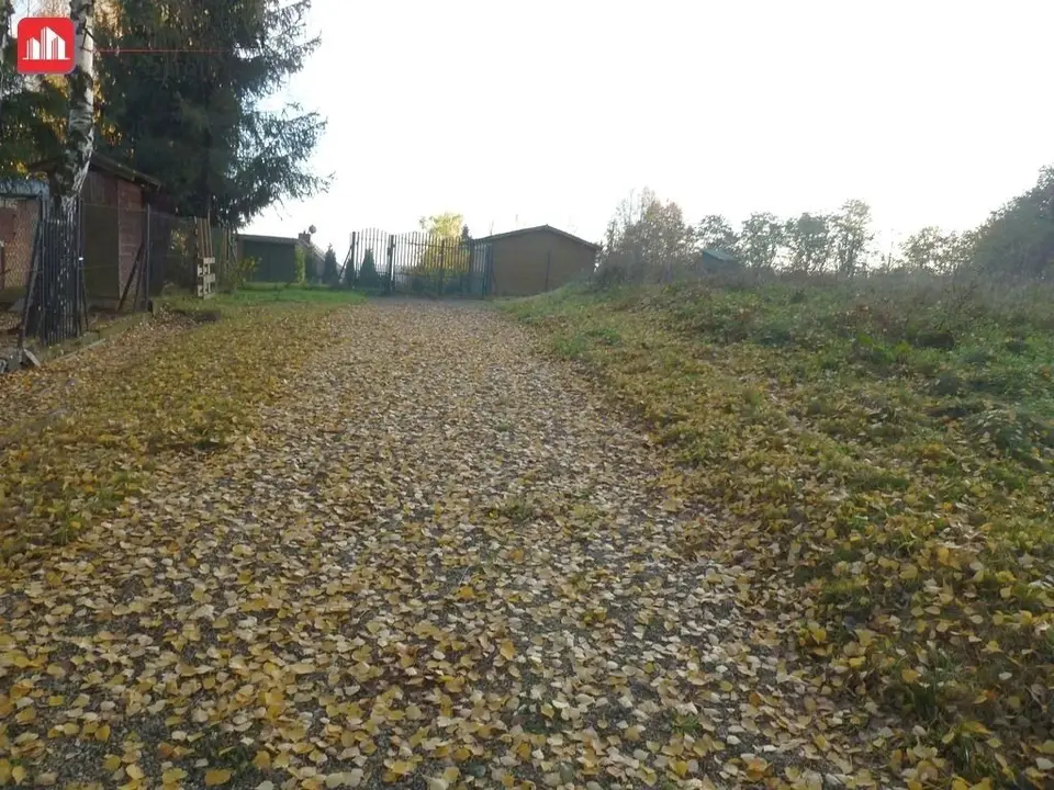 Zdjęcie 6