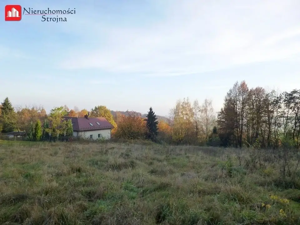 Zdjęcie 7