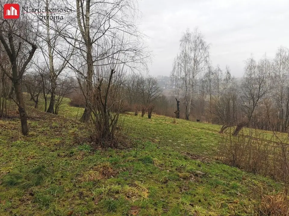 Zdjęcie 5