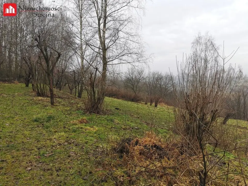 Zdjęcie 8