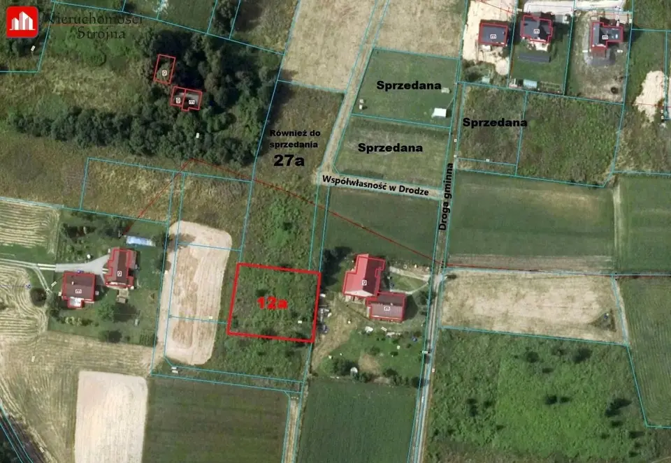 Zdjęcie 5