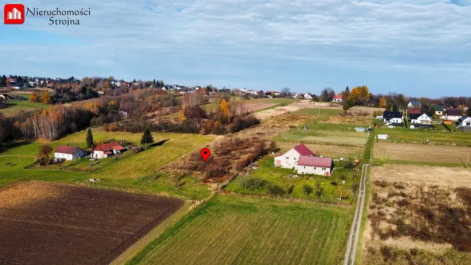 Zdjęcie 15