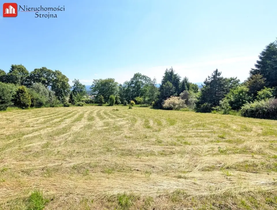 Działka budowlana 2 260 m², Raciborsko