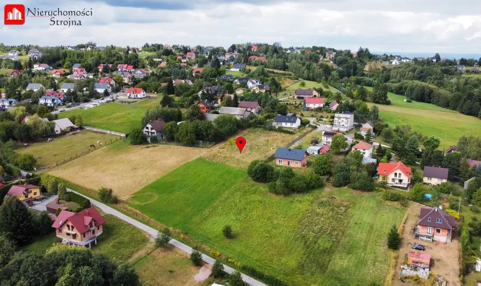 Zdjęcie 10