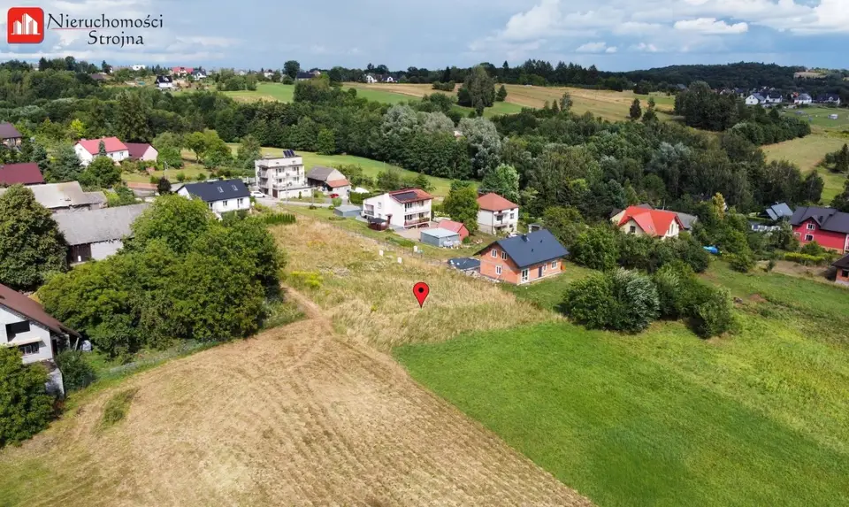 Zdjęcie 11