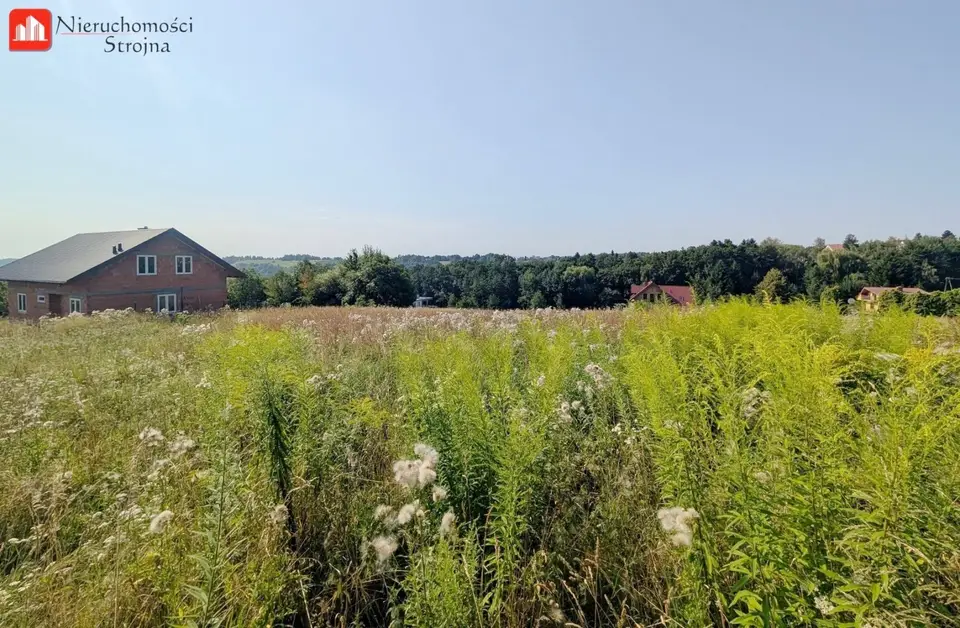 Zdjęcie 14