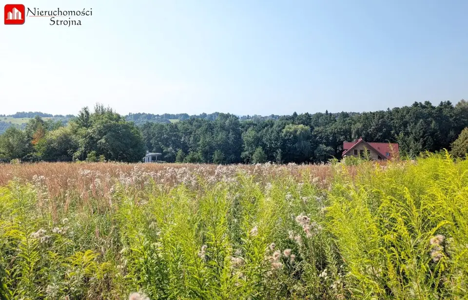 Zdjęcie 18