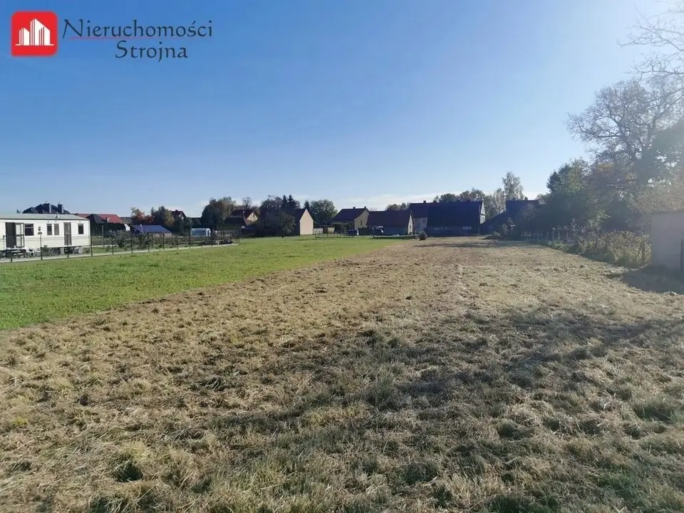 Zdjęcie 2