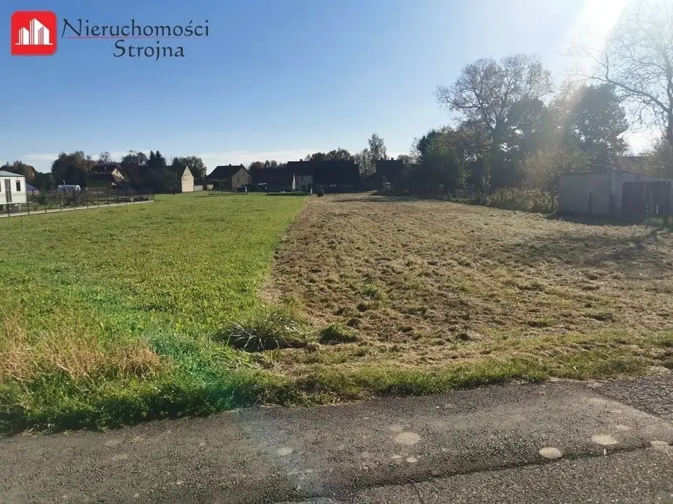Zdjęcie 4