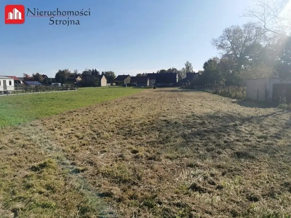 Zdjęcie 5