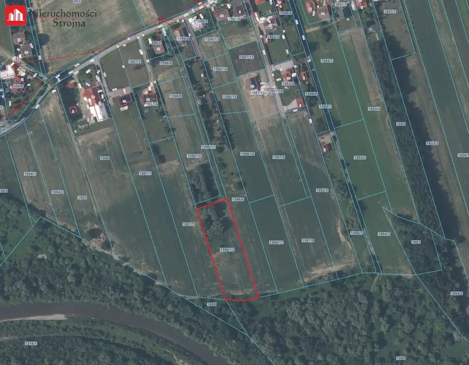 Zdjęcie 11