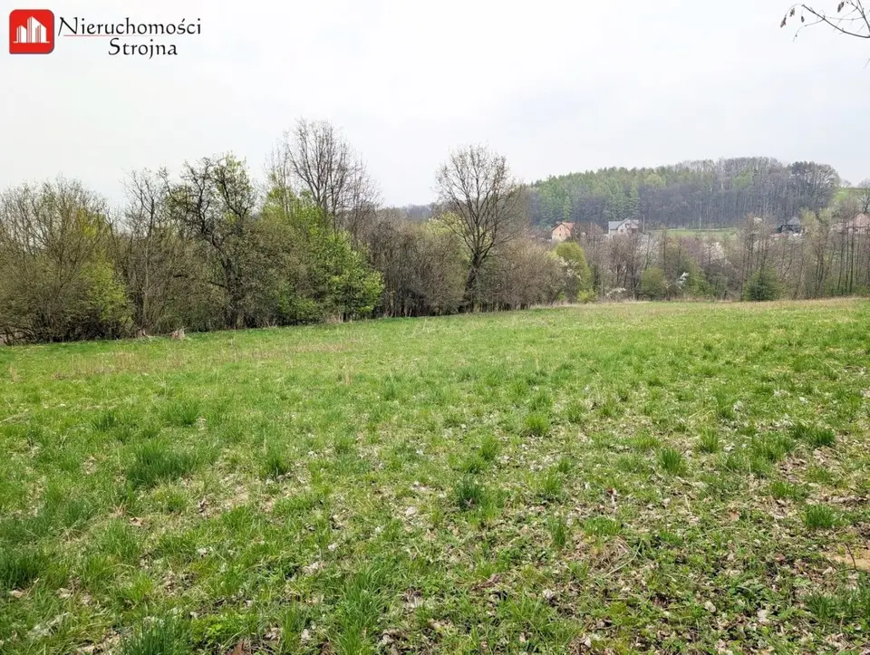 Zdjęcie 6