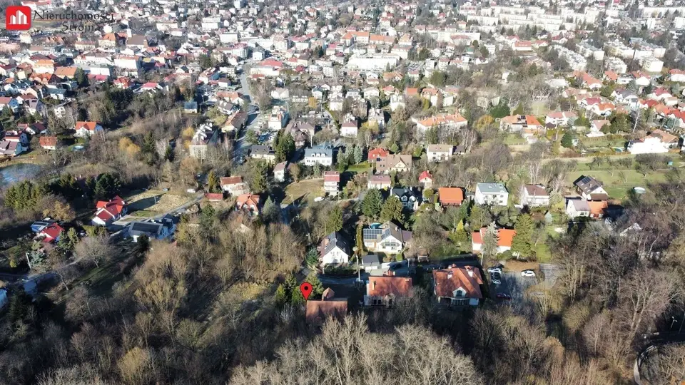 Zdjęcie 11