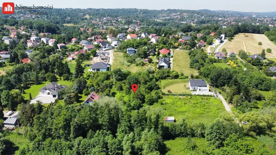 Zdjęcie 12