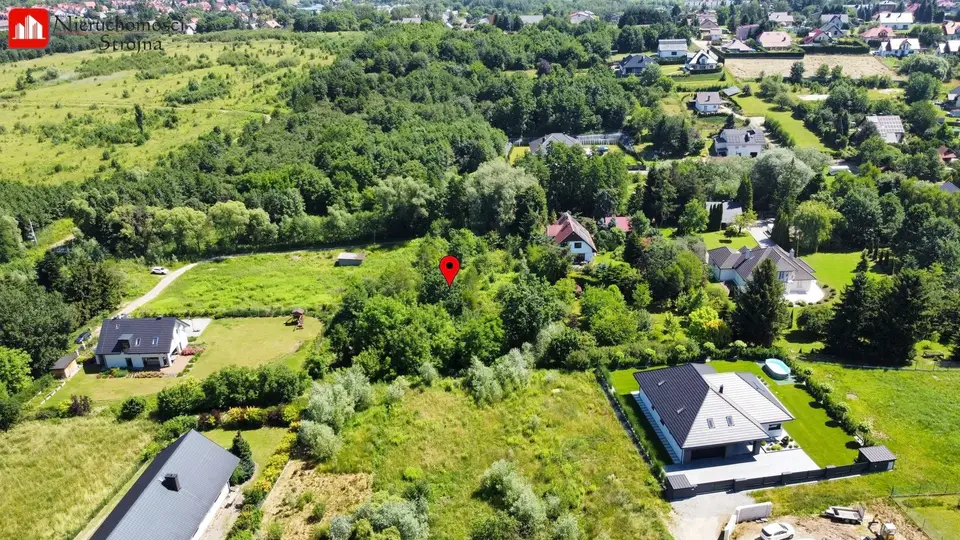 Zdjęcie 13