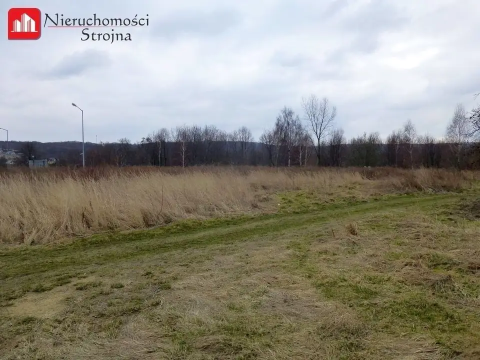Zdjęcie 2