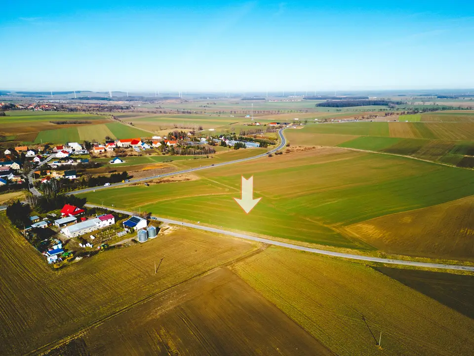Zdjęcie 10
