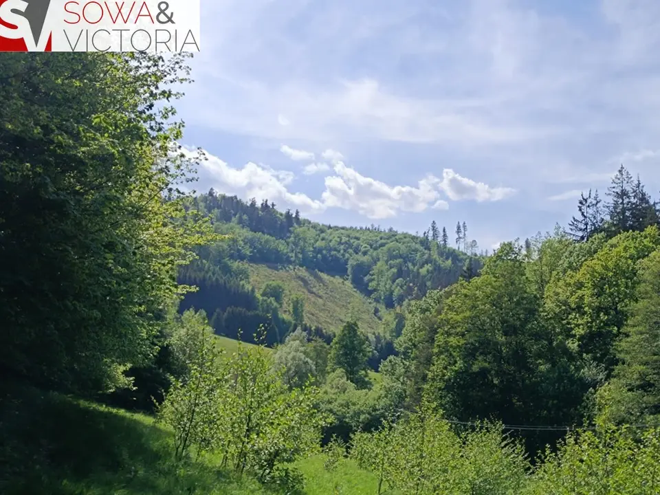 Zdjęcie 5