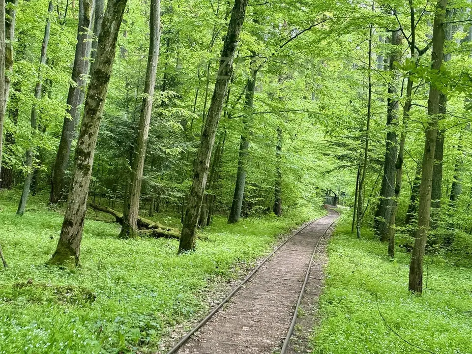 Zdjęcie 2
