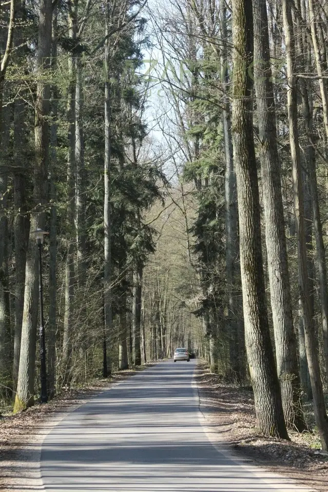Zdjęcie 9