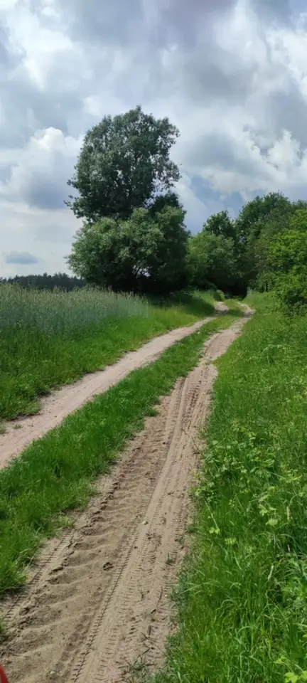 Zdjęcie 9