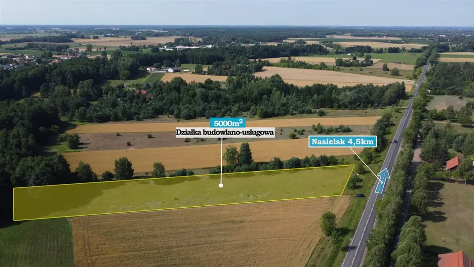 Działka budowlana i inwestycyjna 5 000 m², Nasielsk