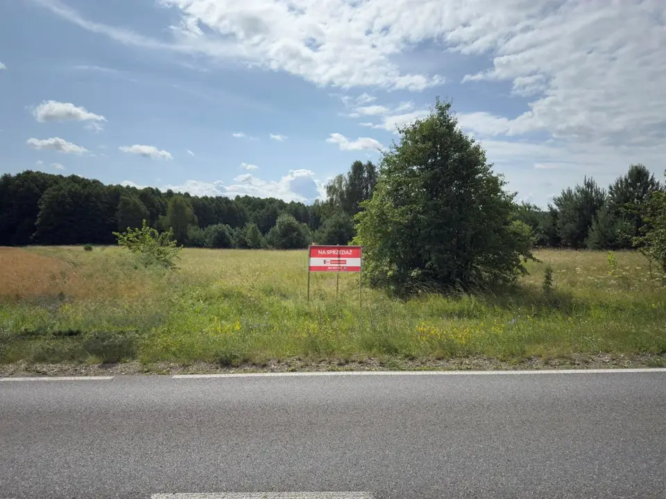 Zdjęcie 11